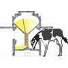 Alimentador de Bezerros - Sistema Creep Feeding - Image 2